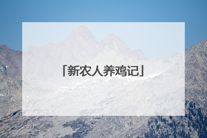 新农人养鸡记